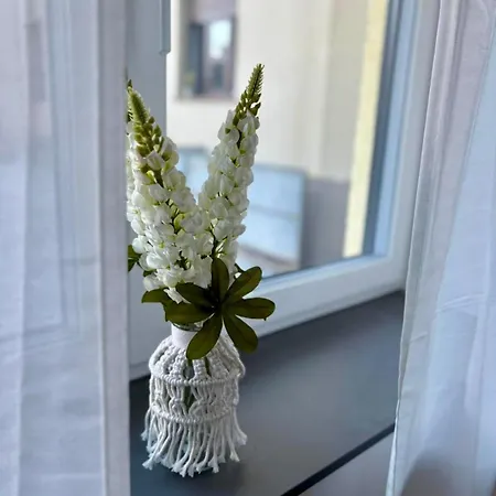 Modernes Im Herzen Von Mit Wlan&terrasse Apartment *